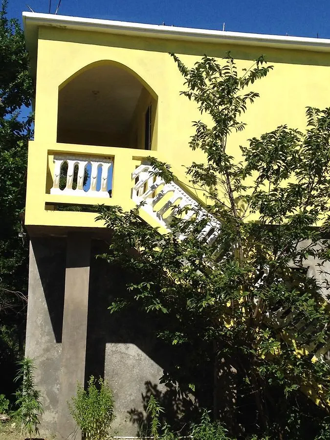 Vikings Rasta Retreats Hotel Montego Bay Gæstehus
