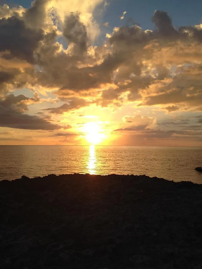 Vikings Rasta Retreats Hotel Montego Bay